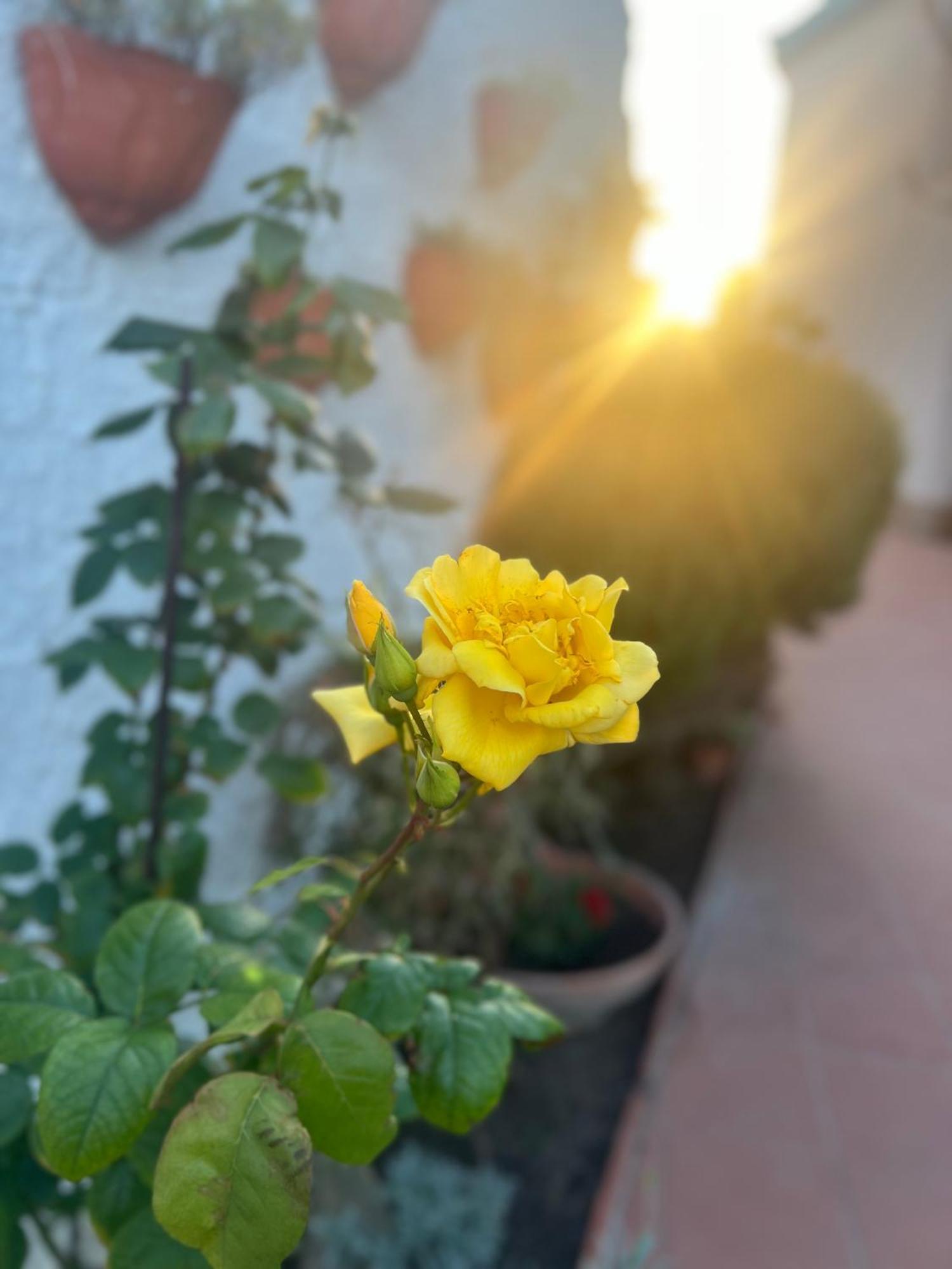 Hotel Rosa Dei Venti Cagliari Zewnętrze zdjęcie